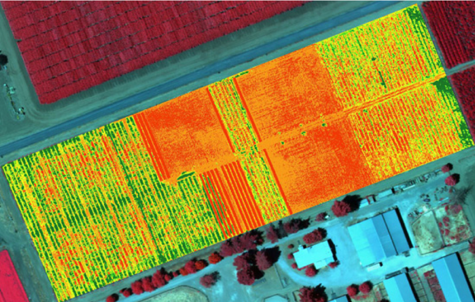 Multispectral Drones: What They Are, How They Work, and Who Needs Them