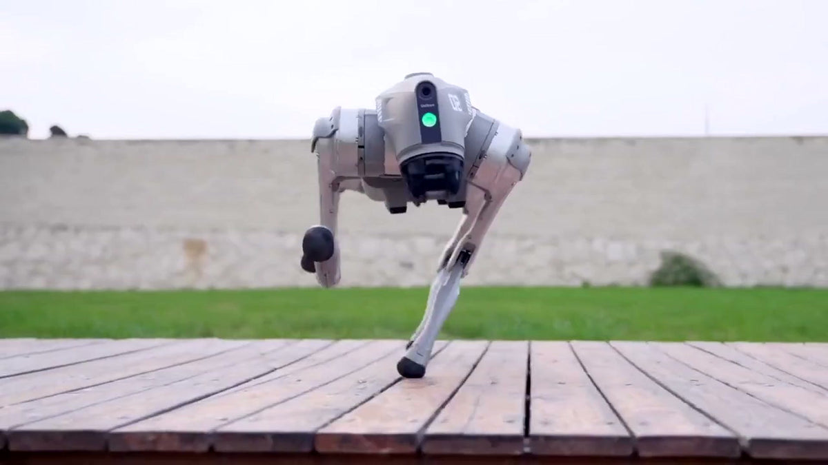 Unitree Go2 robot dog balancing on an outdoor deck