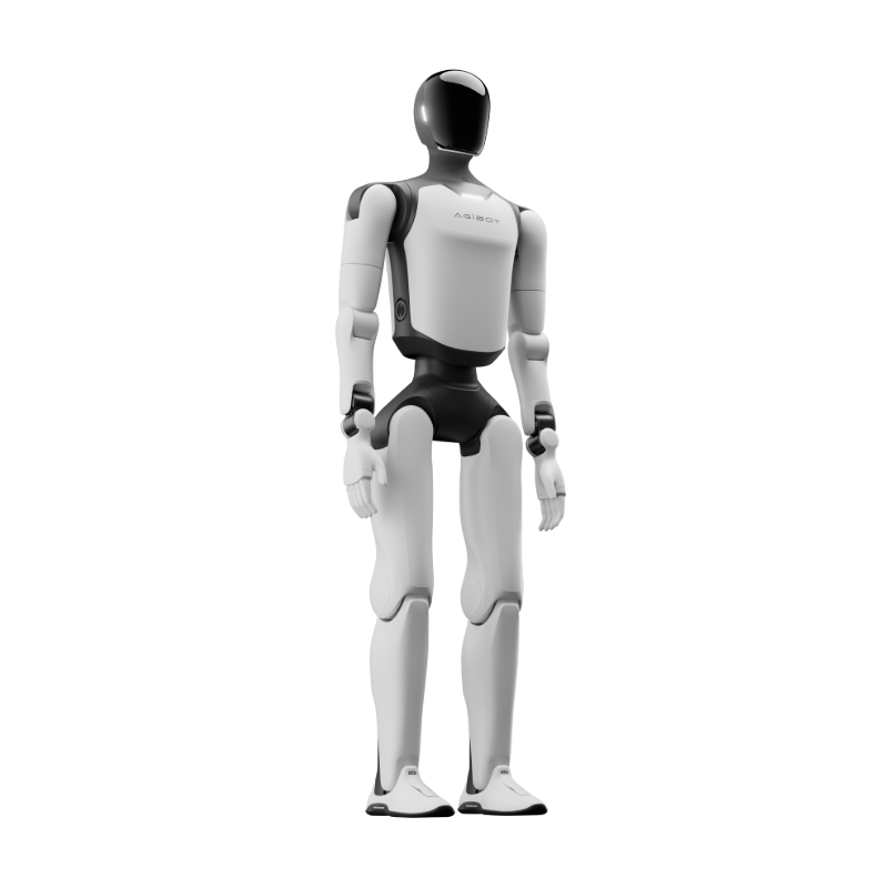 AgiBot A3 Standard humanoid robot, back view