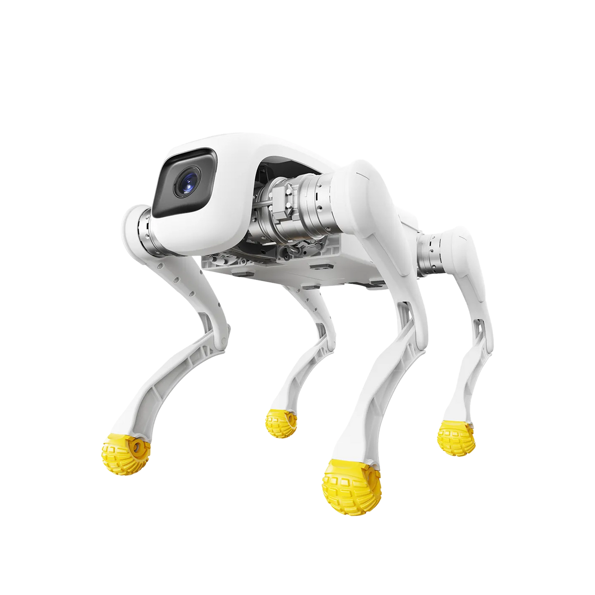 AgiBot D1 Edu quadruped robot, 15.5 kg with yellow anti-slip footpads and front camera module
