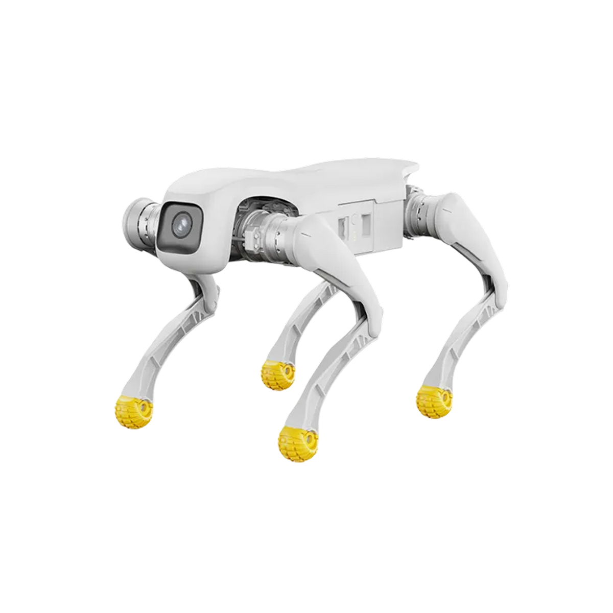 AgiBot D1 Edu quadruped robot side profile showing leg articulation and anti-collision modules