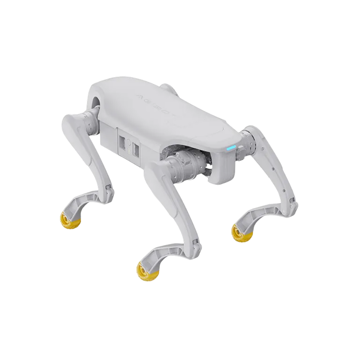 AgiBot D1 Edu quadruped robot front view with camera sensor for research and education