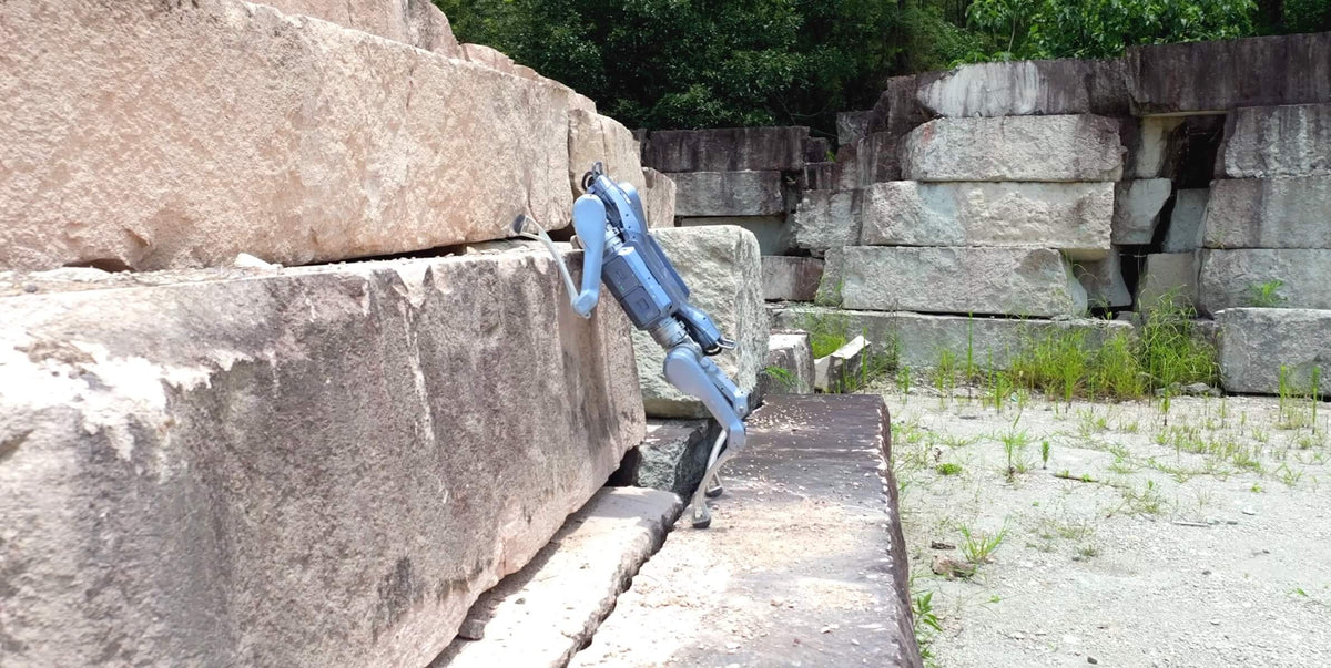 Unitree A2 quadruped robot stepping across cut stone blocks in a quarry