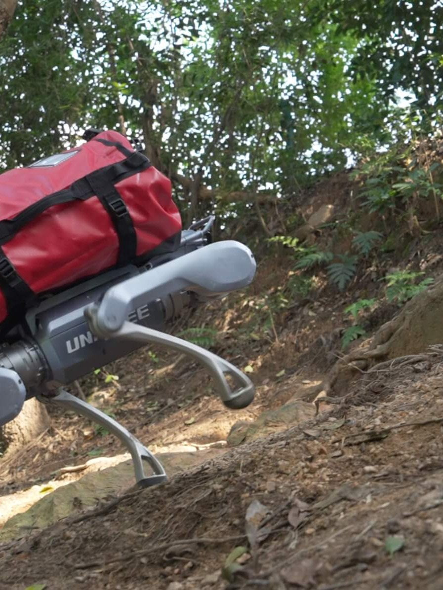 Unitree A2 quadruped robot carrying a strapped payload up a hillside trail