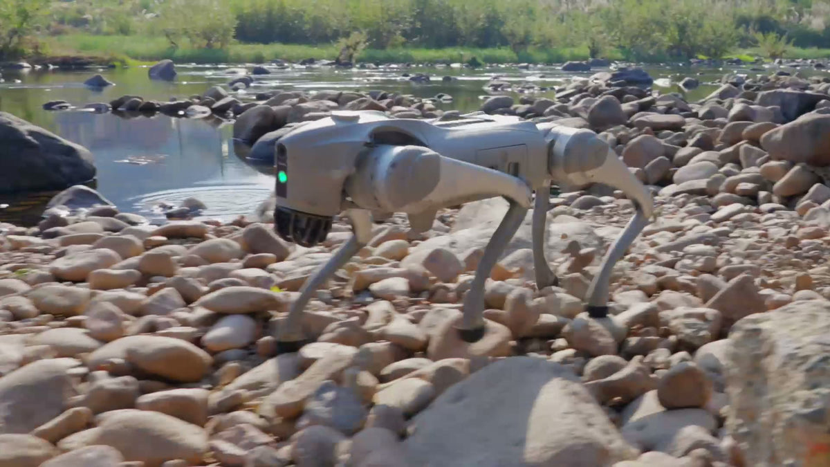 Unitree Go2 Pro crossing loose river rocks