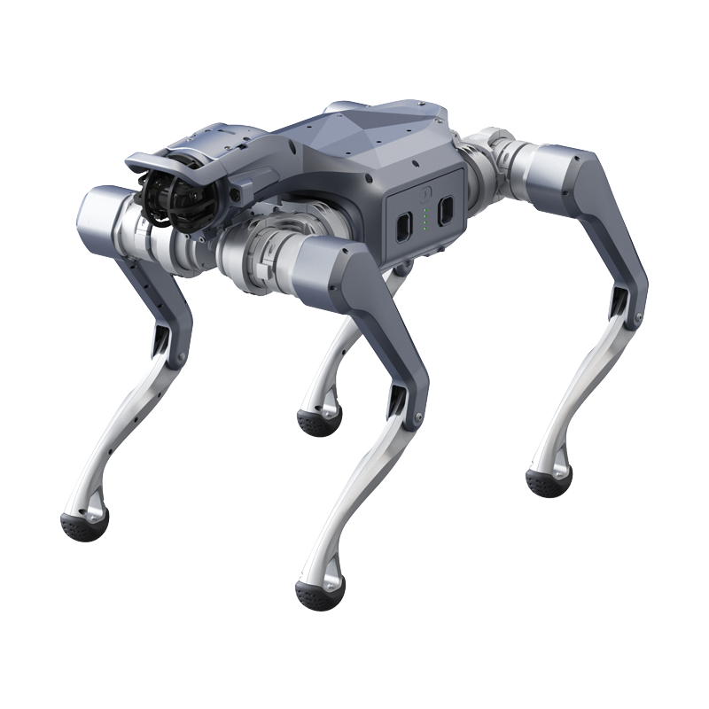 Unitree Go2 Ent Quadruped Robot