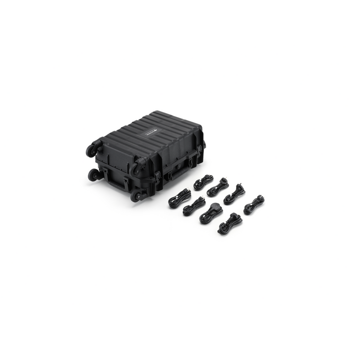 BS100 Intelligent Battery Station