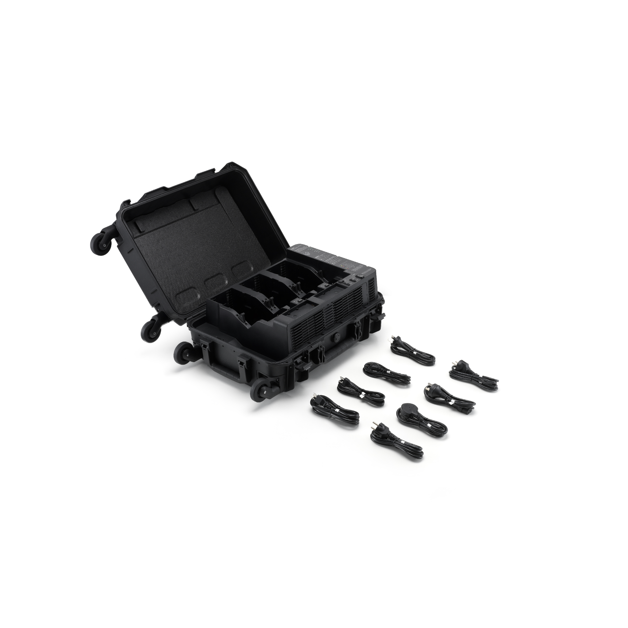 BS100 Intelligent Battery Station