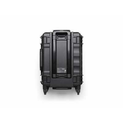 BS100 Intelligent Battery Station