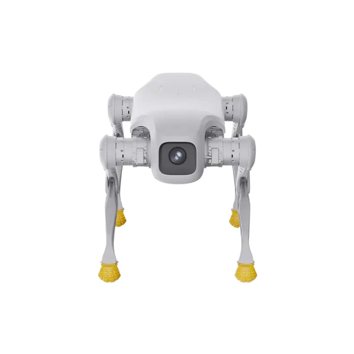 AgiBot D1 Edu quadruped robot rear view showing chassis and expansion bay
