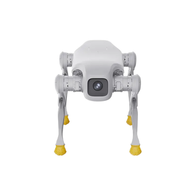 AgiBot D1 Edu quadruped robot rear view showing chassis and expansion bay