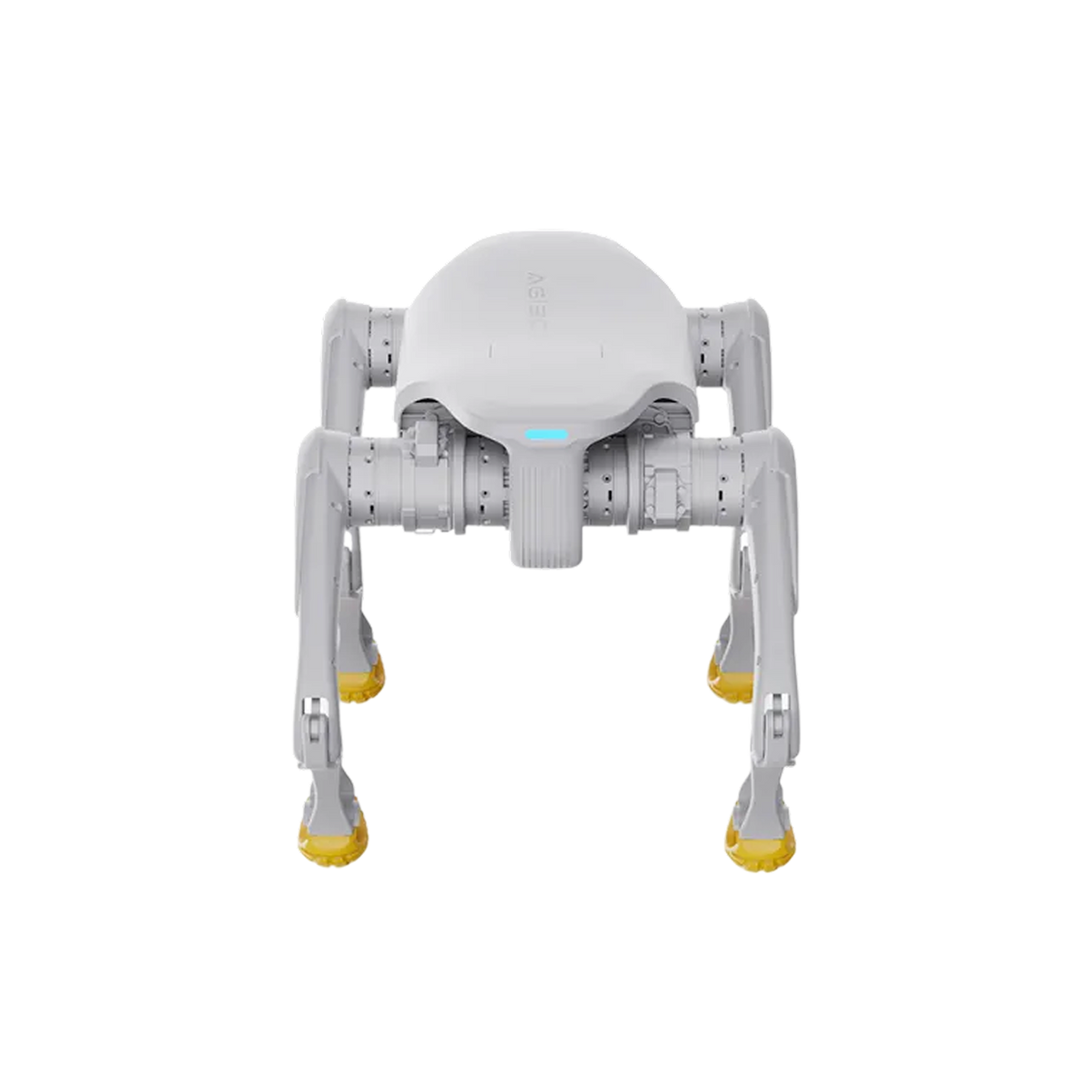 AgiBot D1 Edu quadruped robot three-quarter view, 3.5 m per second with 5 kg payload