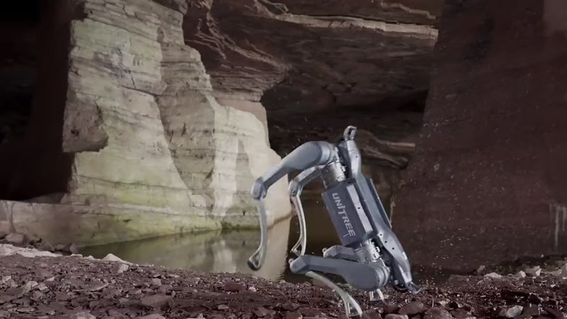 Unitree A2 quadruped robot climbing a rock canyon wall