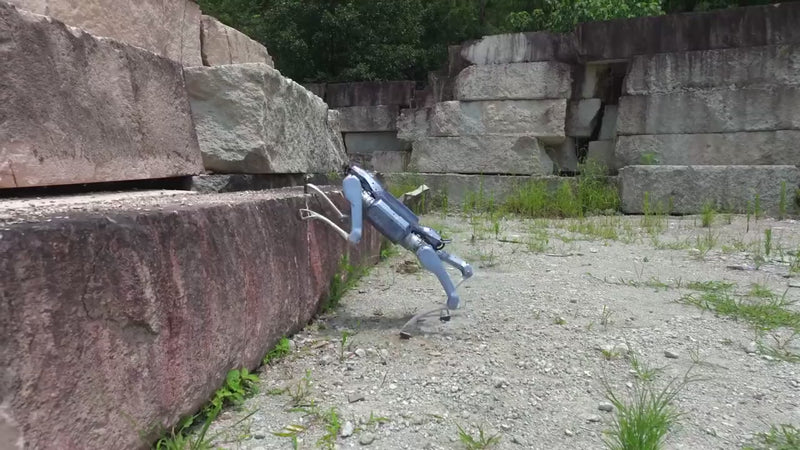 Unitree A2 quadruped robot climbing quarry stone blocks