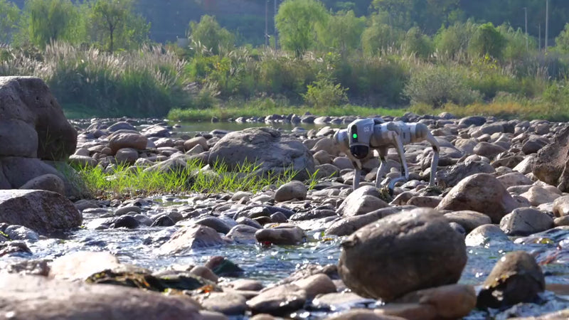 Unitree Go2 Pro walking across loose river rocks