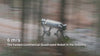AgiBot D1 Max wheel-leg quadruped robot running at 6 m/s, wading through water at IP67 protection, and crossing an 80 cm obstacle