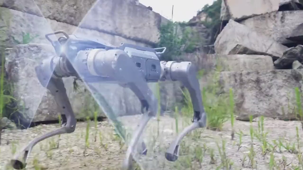 Load video: Unitree A2 quadruped robot with LiDAR point cloud perception overlay