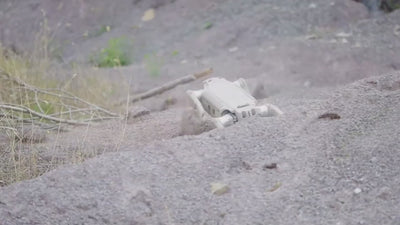 AgiBot D1 Ultra quadruped robot descending a steep loose slope and running through dense vegetation