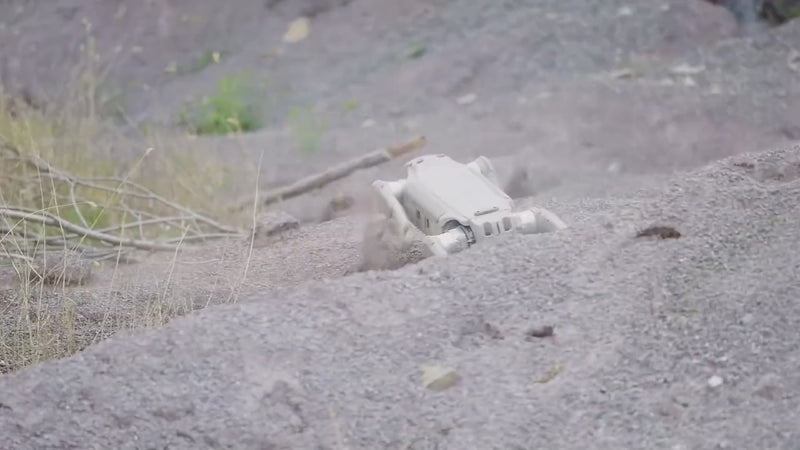 AgiBot D1 Ultra quadruped robot descending a steep loose slope and running through dense vegetation