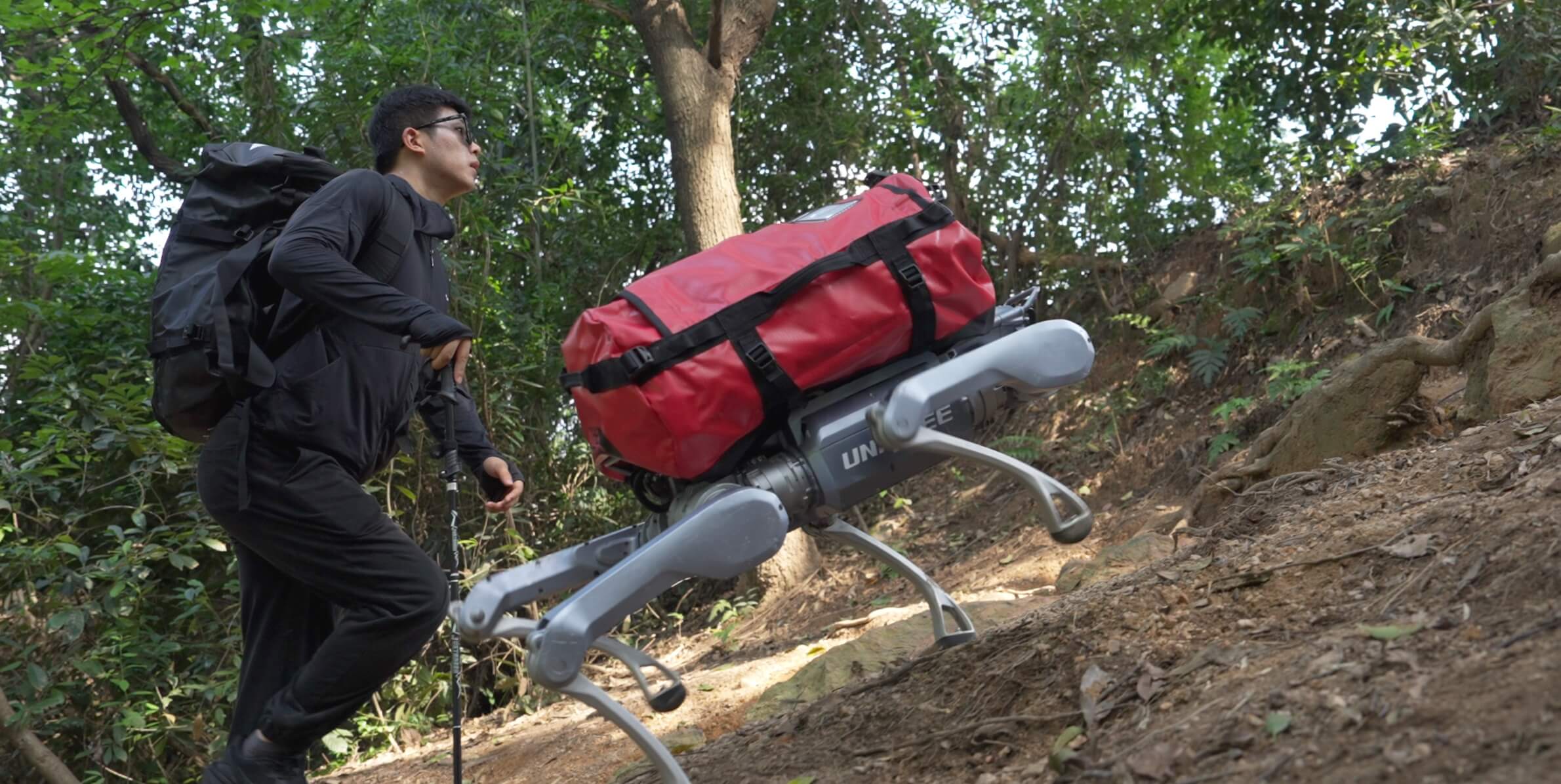 Unitree A2 quadruped robot carrying a heavy payload up a hillside trail