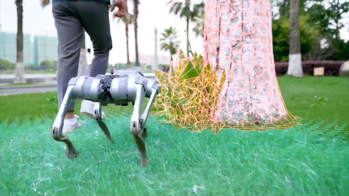 Unitree Go2 Pro walking beside a person while mapping a tree