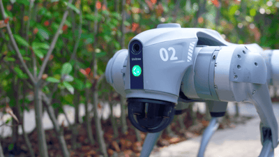 Unitree Go2 Pro sensor head close-up outdoors
