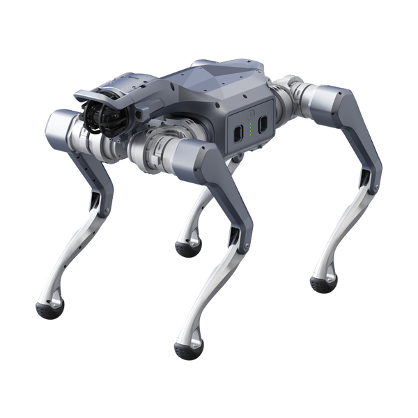 Unitree Go2 Ent Quadruped Robot